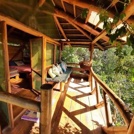 Mariri Jungle Lodge Алту-Параїзу-ді-Гояс Екстер'єр фото