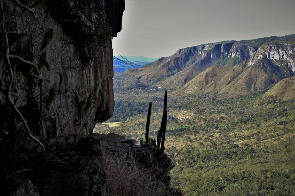 Mariri Jungle Lodge Алту-Параїзу-ді-Гояс Екстер'єр фото