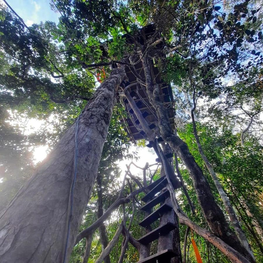 Mariri Jungle Lodge Алту-Параїзу-ді-Гояс Екстер'єр фото